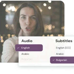 Video Subtitle & Translation Service