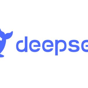 DeepSeek