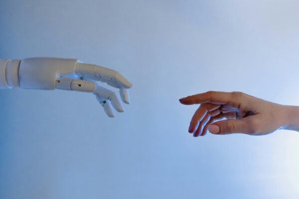 Deep Learning Model Training